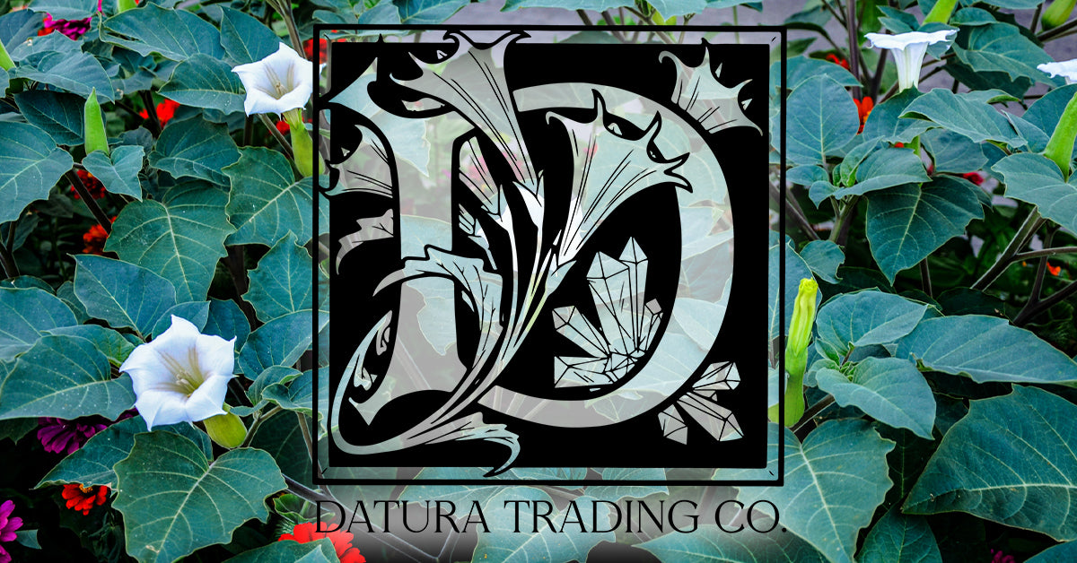 Policies – Datura Trading