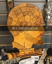 Load image into Gallery viewer, Phrenology Head