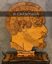 Load image into Gallery viewer, Phrenology Head