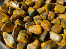 Load image into Gallery viewer, Tumbled Bumblebee Jasper
