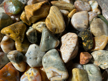 Load image into Gallery viewer, Tumbled Ocean Jasper